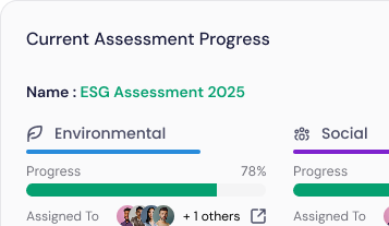 ESG Assessment
