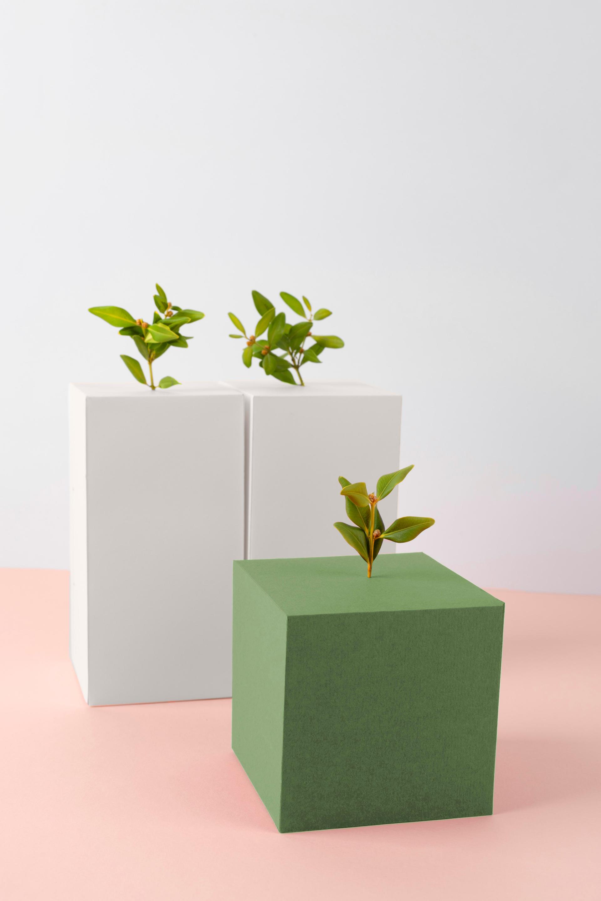 Rethinking Auto Parts Packaging: Why Smarter Design Matters for Cost and Carbon